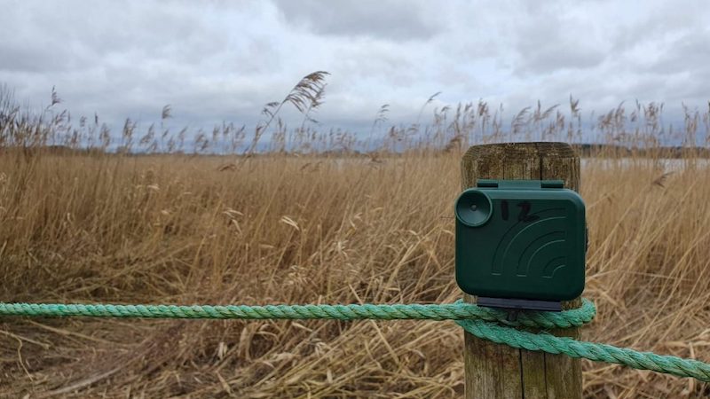 AER Live webinar on how to best approach ecoacoustic projects for successful outcomes