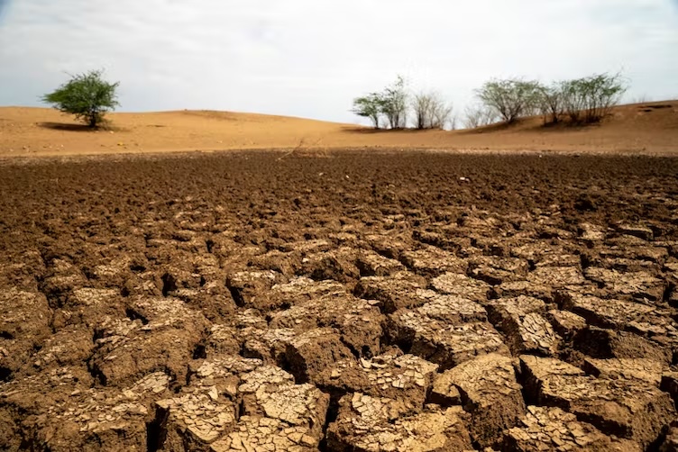Healthy soils are good for your gut, brain and wellbeing – here’s why