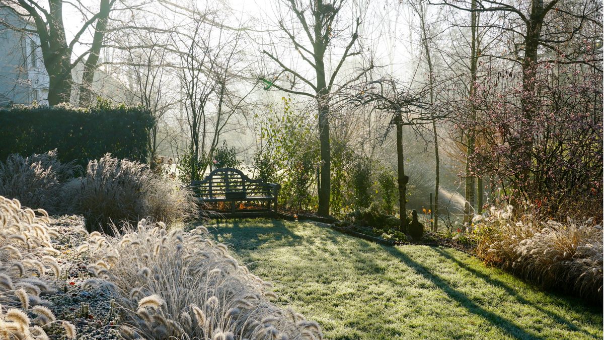 So überwintern Sie einen Garten – 5 Schritte, um Ihre Pflanzen durch die kälteste Jahreszeit zu bringen