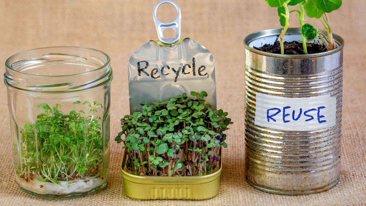 Zero Waste Gardening – 7 innovative Ideen, um Ihren Garten grüner zu machen