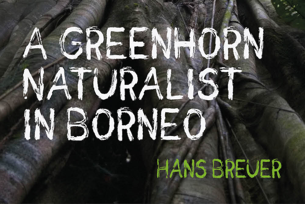 A Greenhorn Naturalist in Borneo by Hans Breuer
