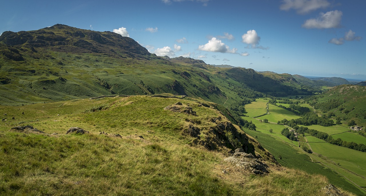managing upland resources book review