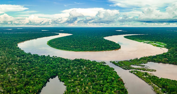 Amazonas von oben