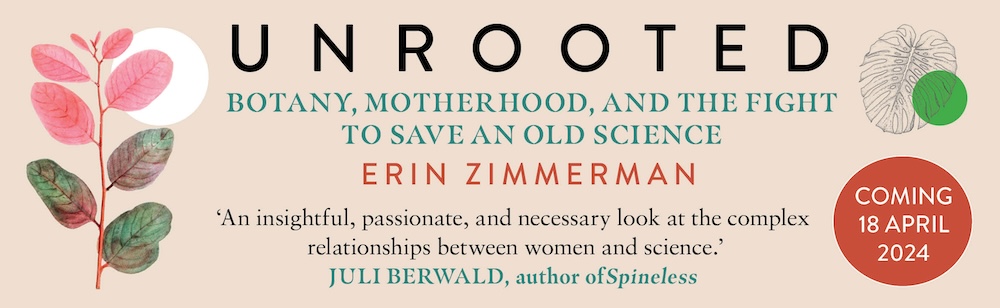 Unrooted by Erin Zimmerman