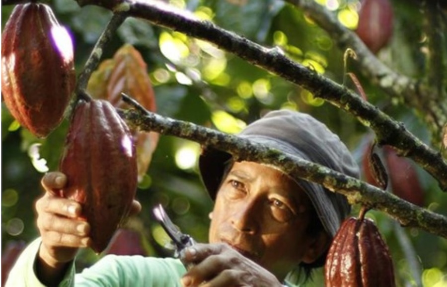 First ever Chocolate Brand to Bear the World’s Leading Sustainability Certification