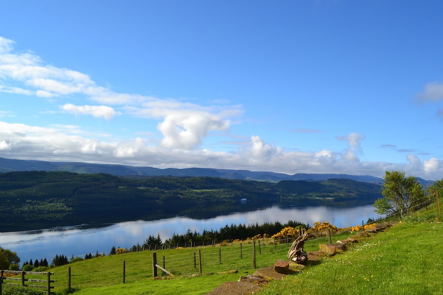 Community to explore buyout of rewilding estate near Loch Ness