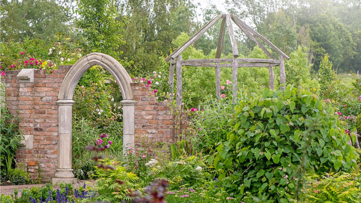 Im Jahr 2025 sollen „bewohnte“ Hinterhöfe die Oberhand gewinnen – aber hinter diesem Look steckt mehr, als Ihren Garten einfach der Natur zu überlassen