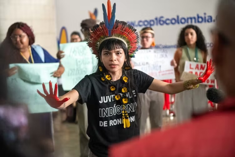 Cop16: the world’s largest meeting to save nature has ended with no clear path ahead