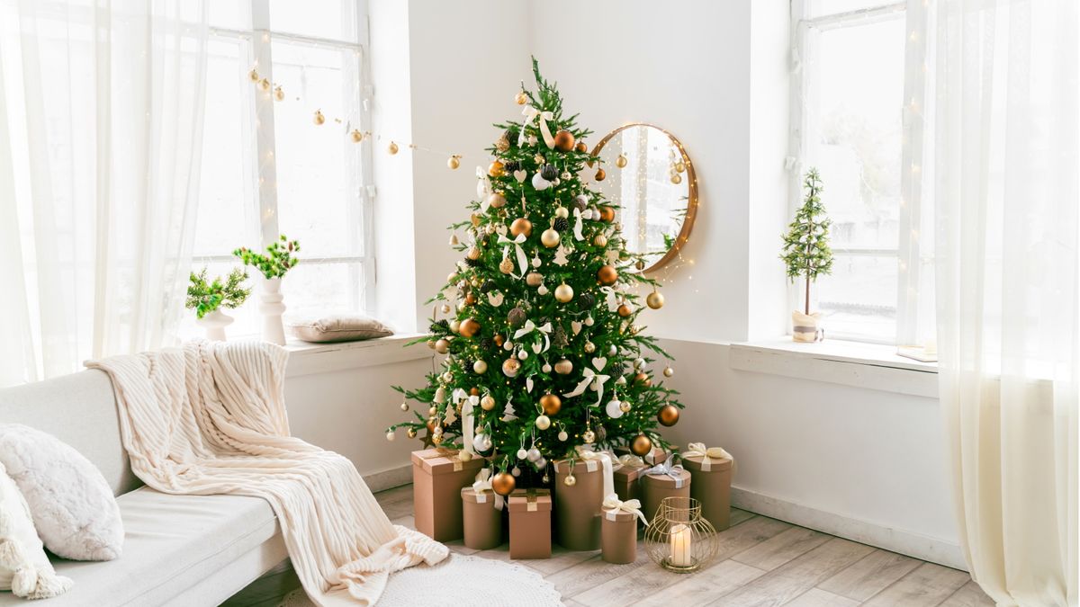 Experten möchten, dass Sie dieses Jahr 6 echte Weihnachtsbaumfehler vermeiden – damit Ihr Weihnachtsbaum länger schön aussieht