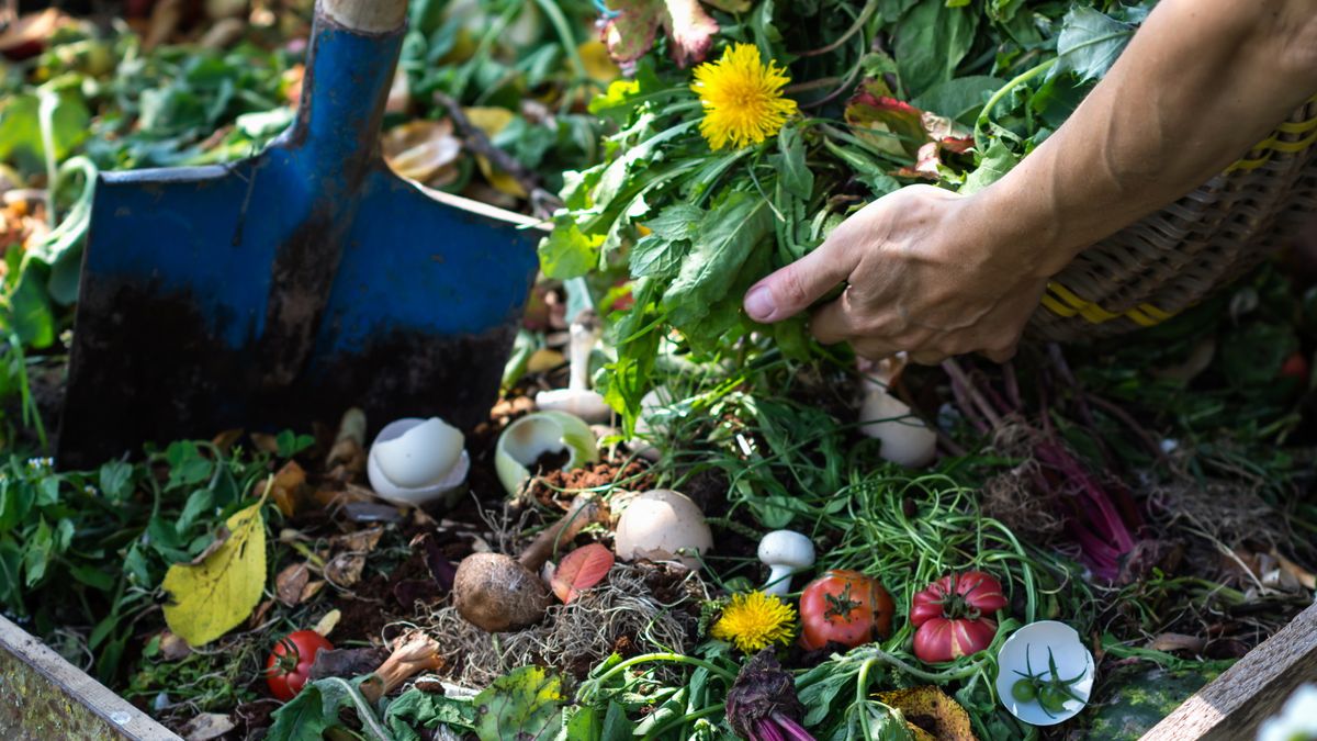 Kann man Unkraut kompostieren? Experten geben Top-Tipps zum sicheren Hinzufügen von Unkraut zu Ihrem Haufen und darüber, welches Unkraut Sie niemals kompostieren sollten