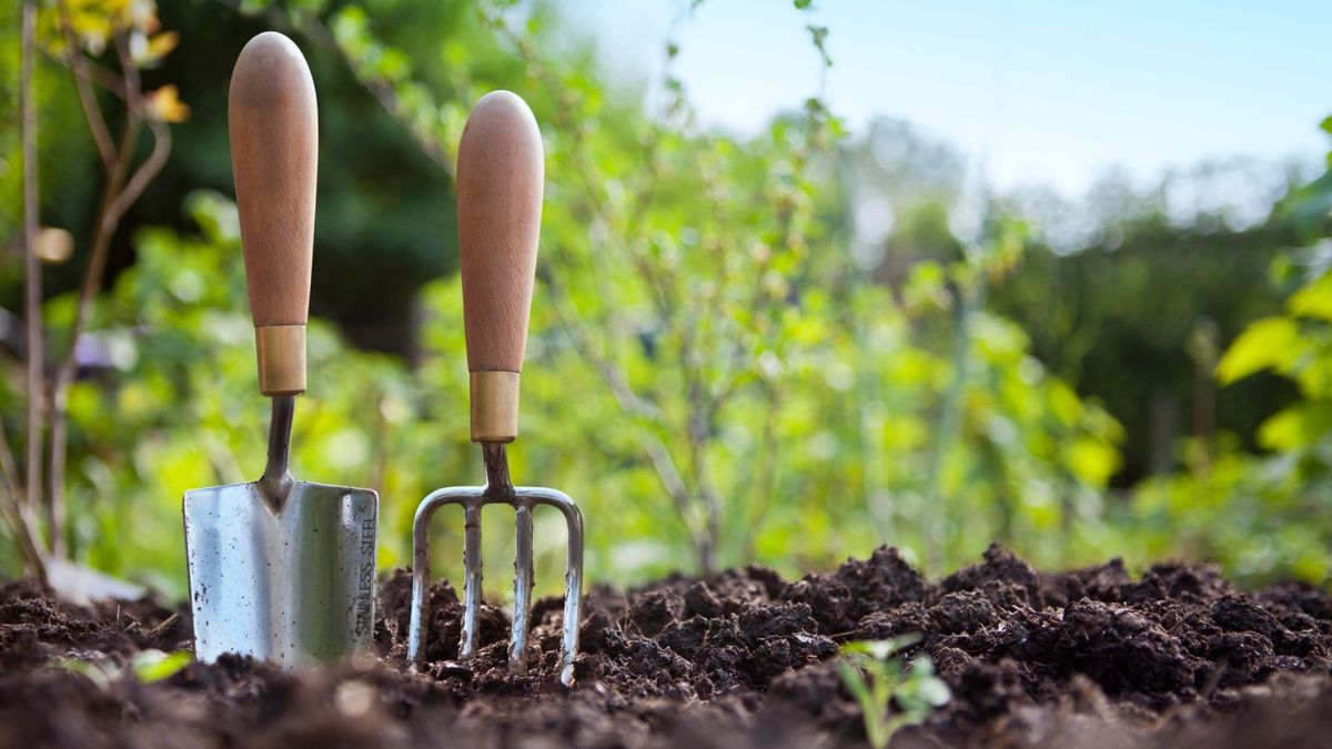 So kaufen Sie gute Gartengeräte – Expertentipps, um Werkzeuge zu finden, die ein Leben lang halten