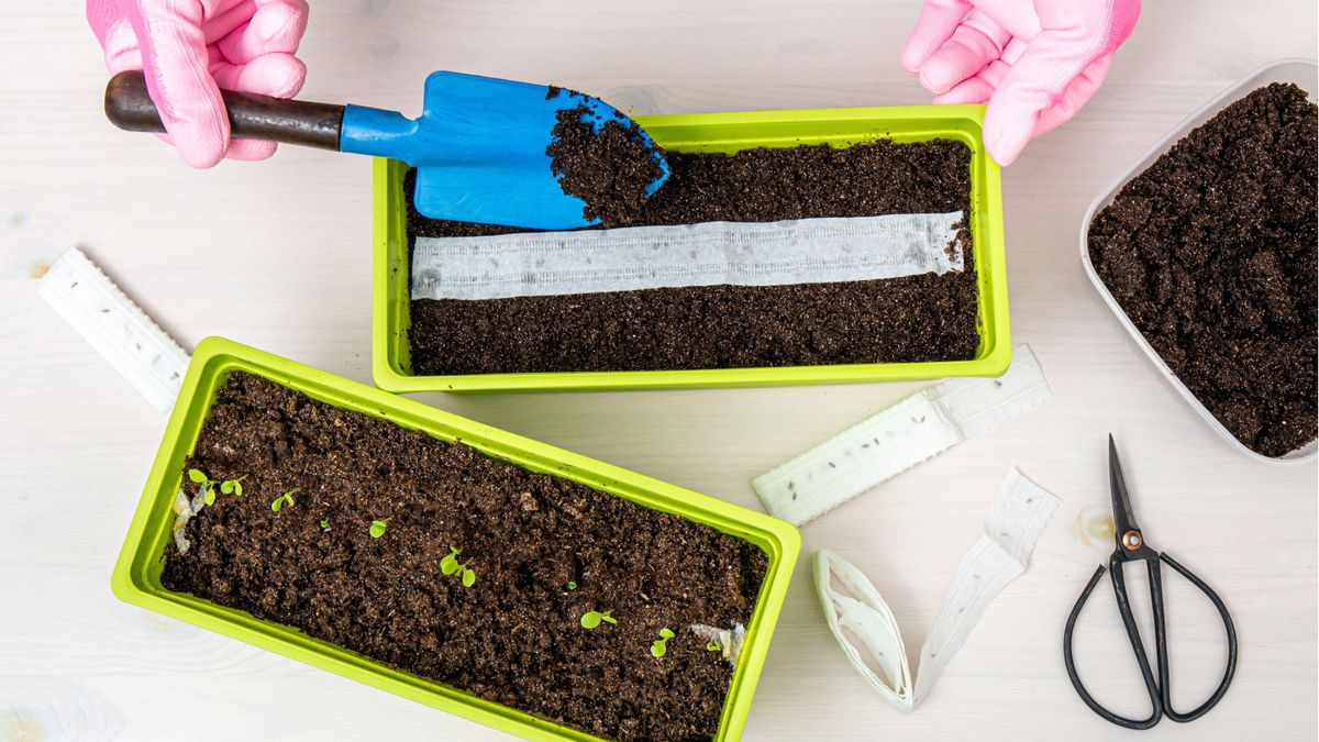 Wenn Sie eine gleichmäßige Bepflanzung wünschen, müssen Sie diesen einfachen DIY-Hack mit Saatband ausprobieren