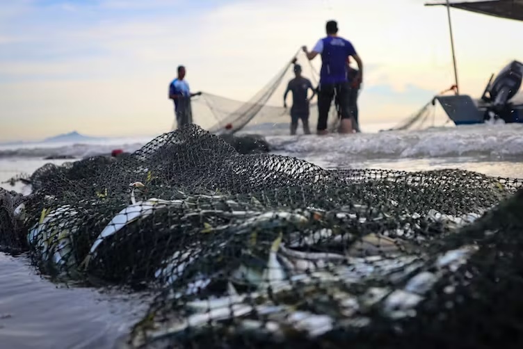 How the state of our oceans is intrinsically linked to human health – new report