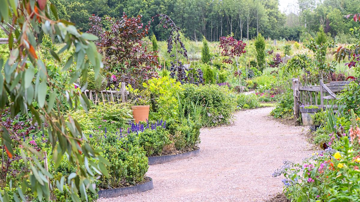 6 Dinge, die einen Garten billig aussehen lassen, sagen Gartendesigner – und wie man diese Fehler für ein stilvolles Grundstück im Jahr 2025 vermeidet