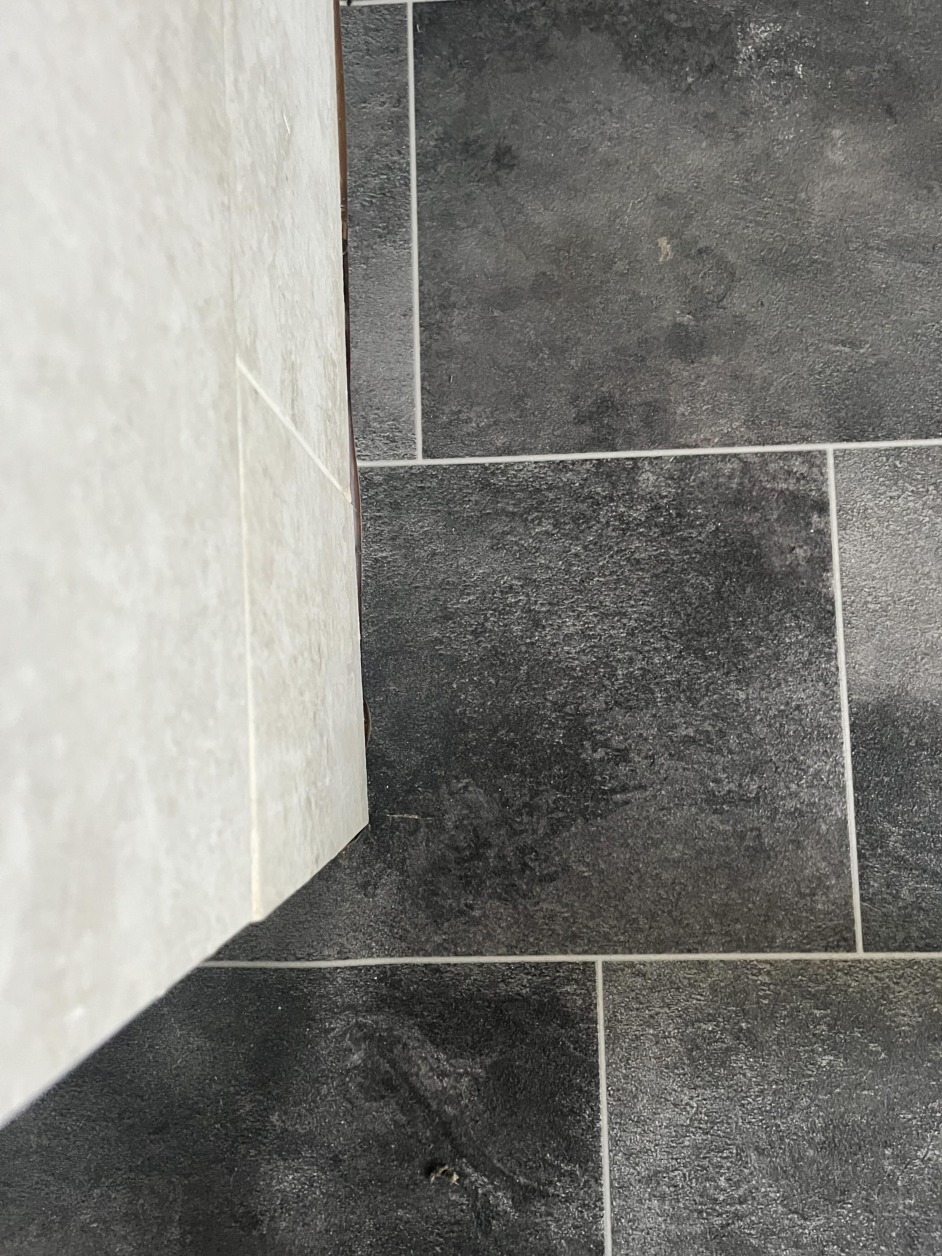   Die Kante eines schwarzen Linoleum-Badezimmerbodens, wo er auf eine geflieste Wand trifft, frisch sauber