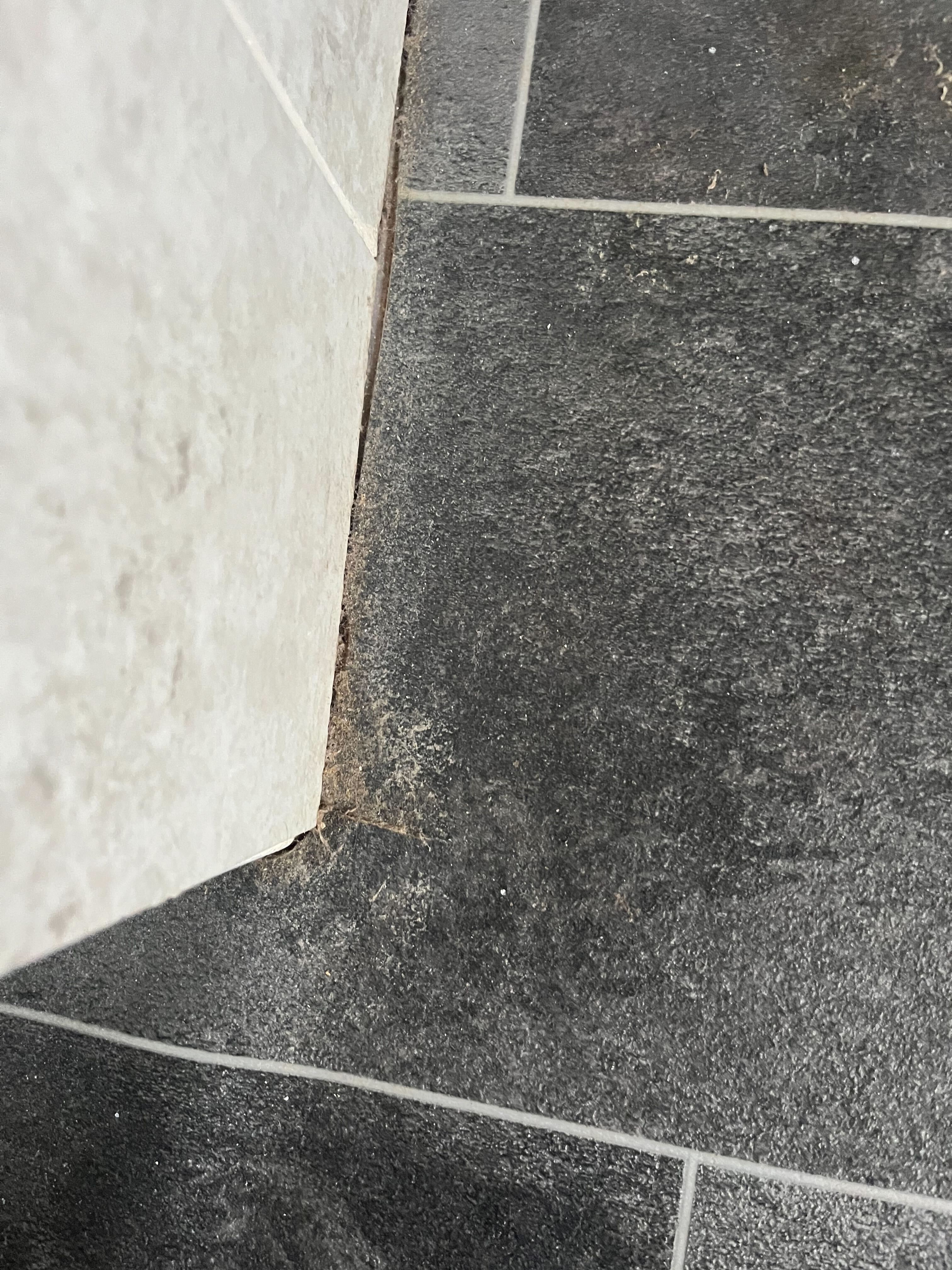 An der Kante eines schwarzen Linoleum-Badezimmerbodens sammelte sich brauner Schmutz an