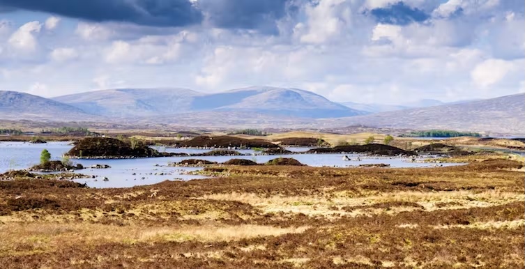 Most of Britain’s peat bogs could stop forming new peat as the climate changes – new study