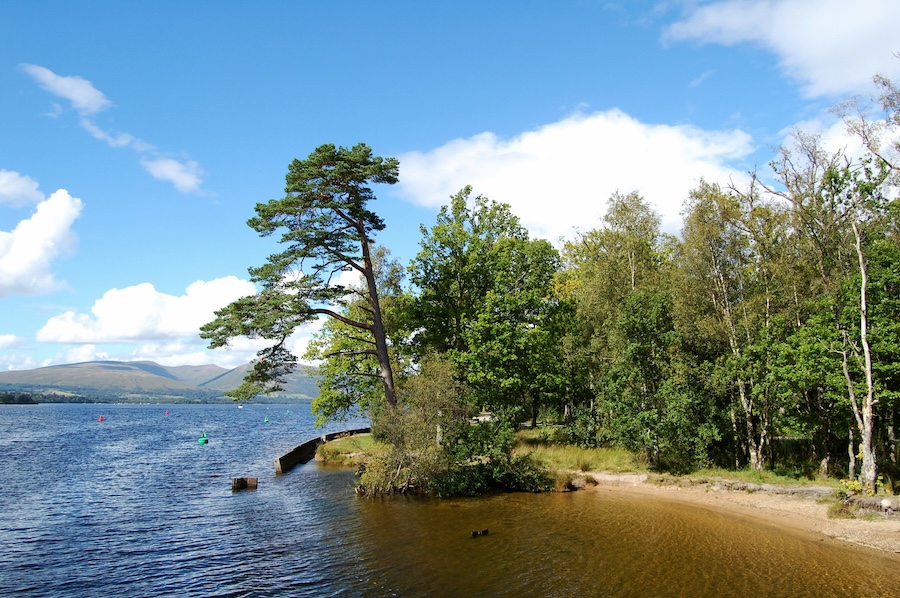 A quarter of freshwater animals threatened with extinction, finds major new study
