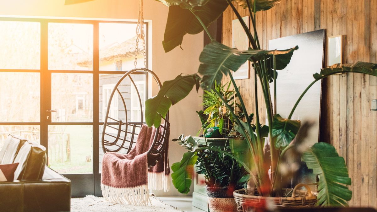 Feng Shui-Experten warnen davor, dass diese 5 Zimmerpflanzenfehler Ihr Glück im Jahr 2025 beeinträchtigen werden – und geben Tipps, wie Sie sie beheben können