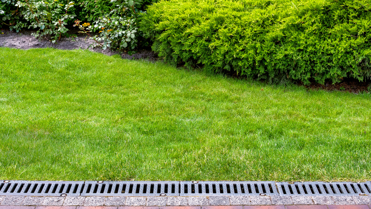 Französische Abflüsse vs. Grabenabläufe – Experten erklären den Unterschied und finden heraus, welcher für Ihren Garten am besten geeignet ist