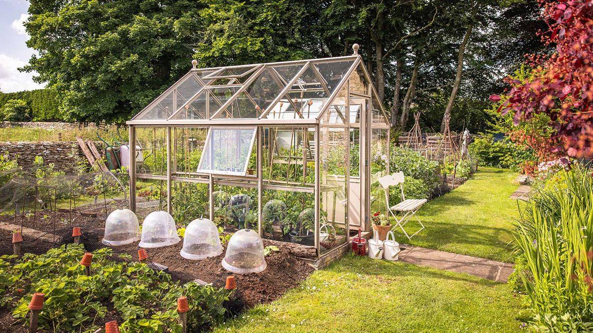 Gewächshaustrends – 10 inspirierende Ideen für den Anbau unter Glas im Jahr 2025