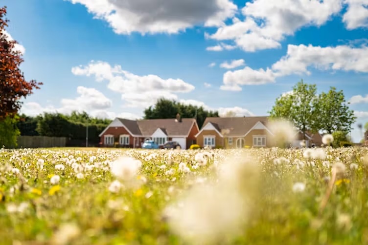 Property developers installing as few as half of promised ecological features – new report