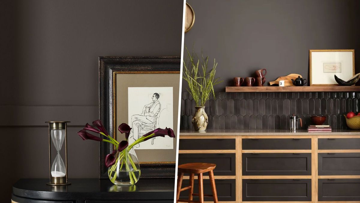 Sealskin von Sherwin-Williams ist eine trendige dunkelbraune Farbe – ein eleganter und schicker Farbton, der den stimmungsvollen Farbtrend aufgreift
