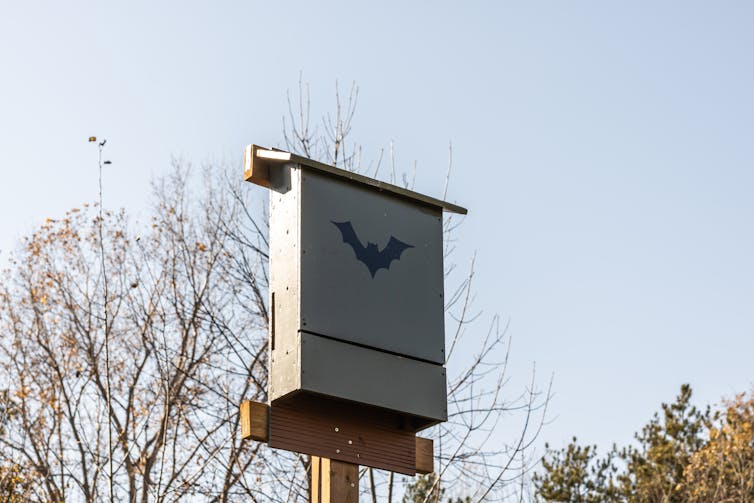 Eine Schachtel auf einem Pfosten mit einer Fledermaus.