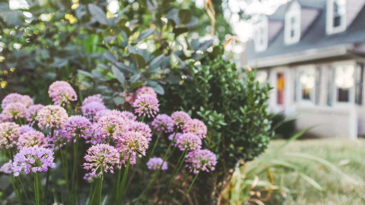 9 Wesentliche Gartenjobs, die Sie jetzt erledigen können, um eine erfolgreiche Vegetationsperiode und eine lang anhaltende Farbe zu garantieren