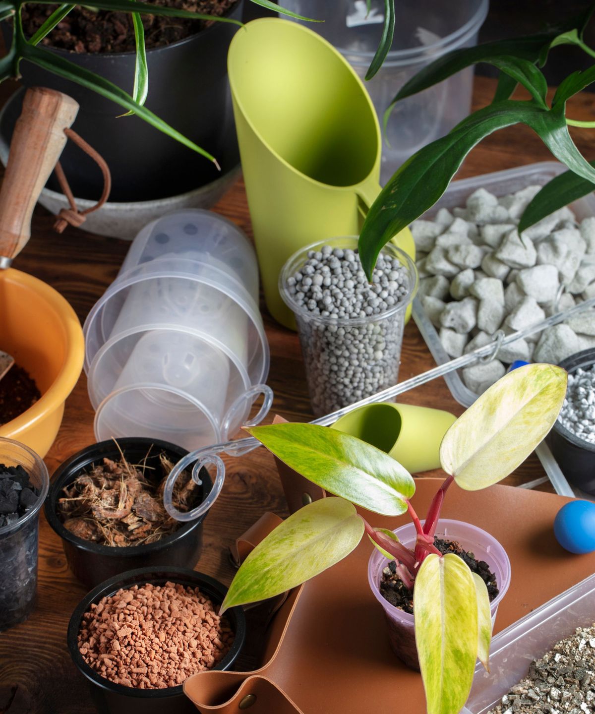Perlite gegen Vermiculite - Was ist der Unterschied und welches ist am besten für Ihren Garten?