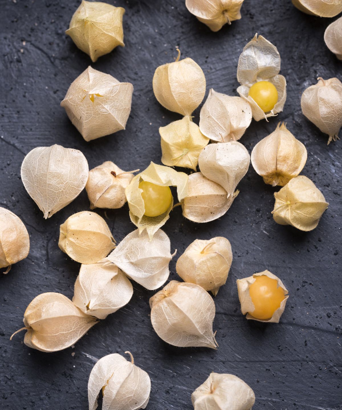 Wie man gemahlene Kirschen aus Samen annimmt - für große Ernten von kleinen und süßen Früchten