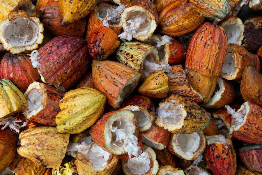 World Cocoa Foundation publishes first ever greenhouse gas accounting standard for the cocoa sector