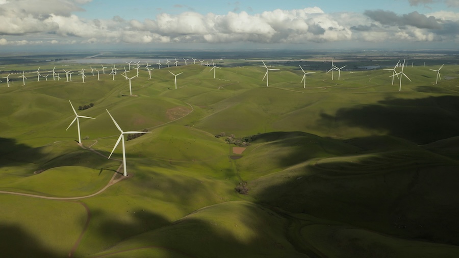 The World Sustainability Organization Launches the Carbon Offset Campaign for a Zero-Impact Future
