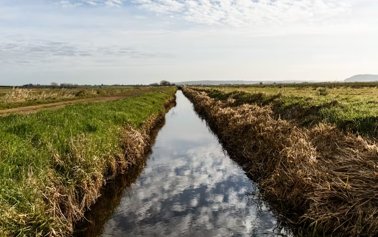 Ditches and canals are a big, yet overlooked, source of greenhouse gas emissions – new study