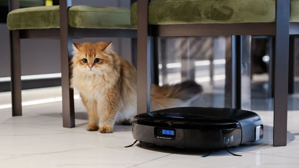 Meine Must-Have Cleaning-Lösung für die Schuppensaison-Ich habe 3 Eufy-Roboter-Vakuum getestet und sie sind ein Spielveränderer für die Reinigung von Haustieren Haare