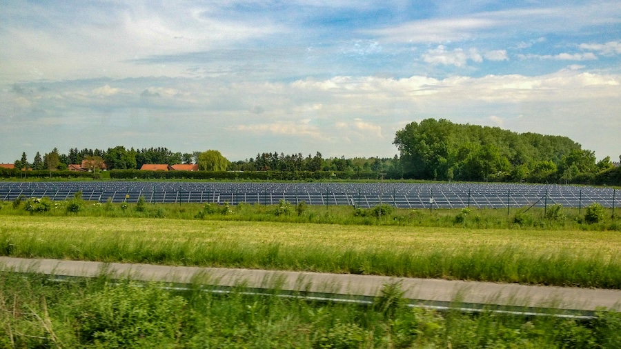 Solar farms can host up to three times as many birds as crop fields – new research