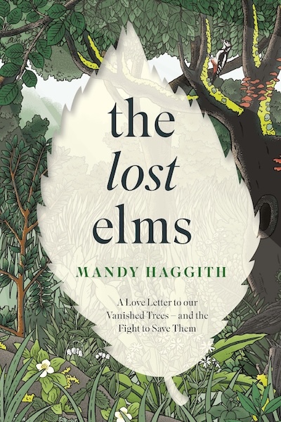 THE LOST ELMS by Mandy Haggith