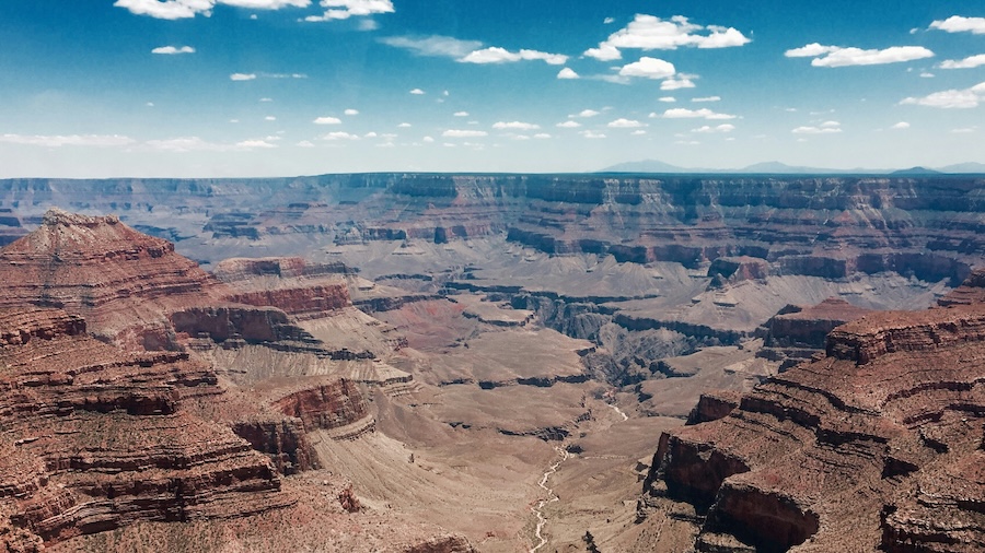 Research news from the Ecological Society of America