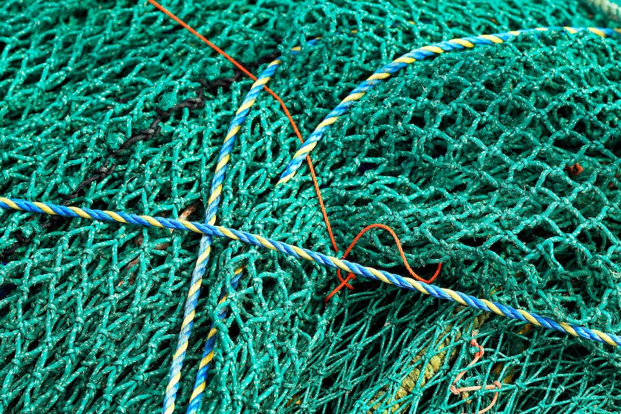 David Attenborough’s Ocean reveals how bottom trawling is hurting sealife
