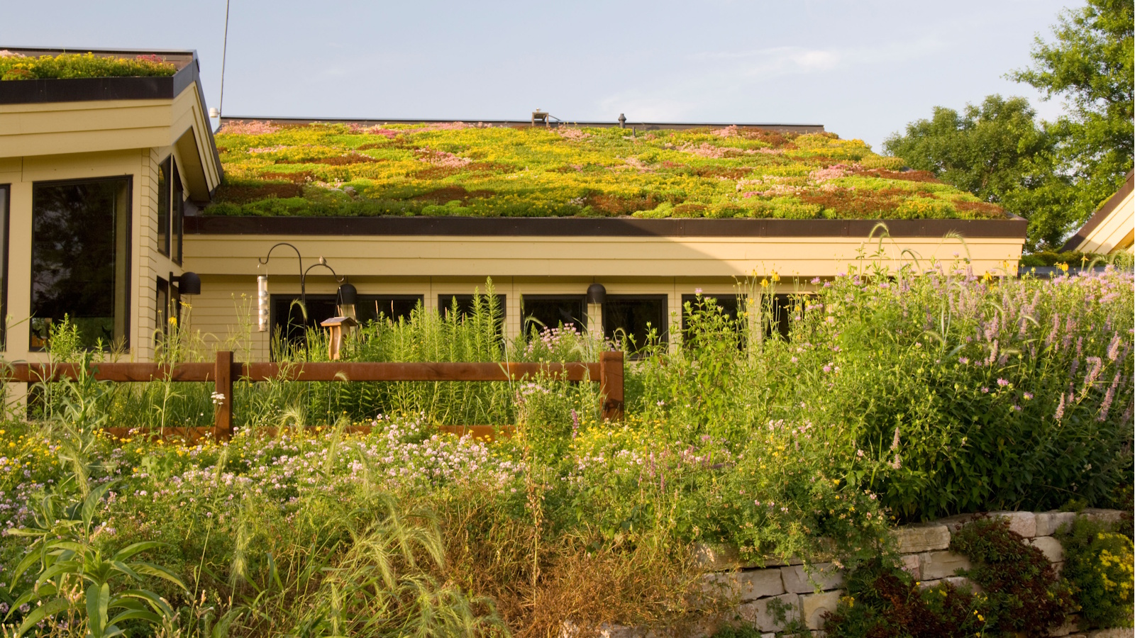 Green roofs to protect from wildfires