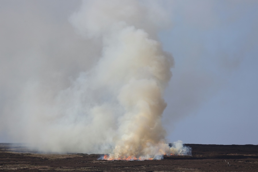 Nature charities urge people to keep nature safe from wildfires this spring