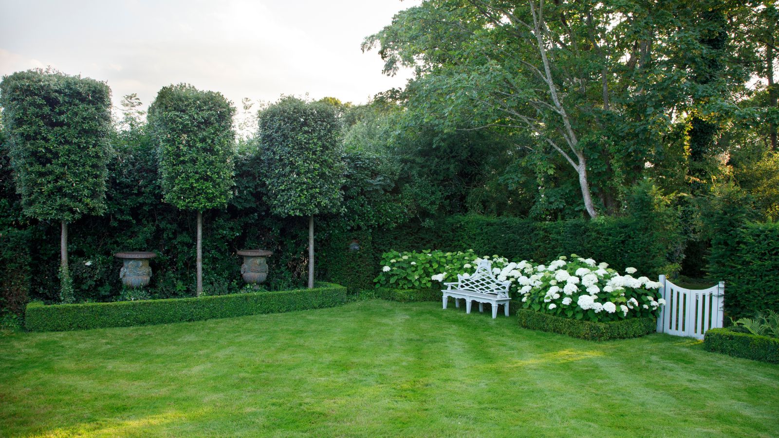 Garten mit üppiger Rasen und Topiary -Hecke mit weißen Blumen in den Grenzen und einer weißen Holzbank