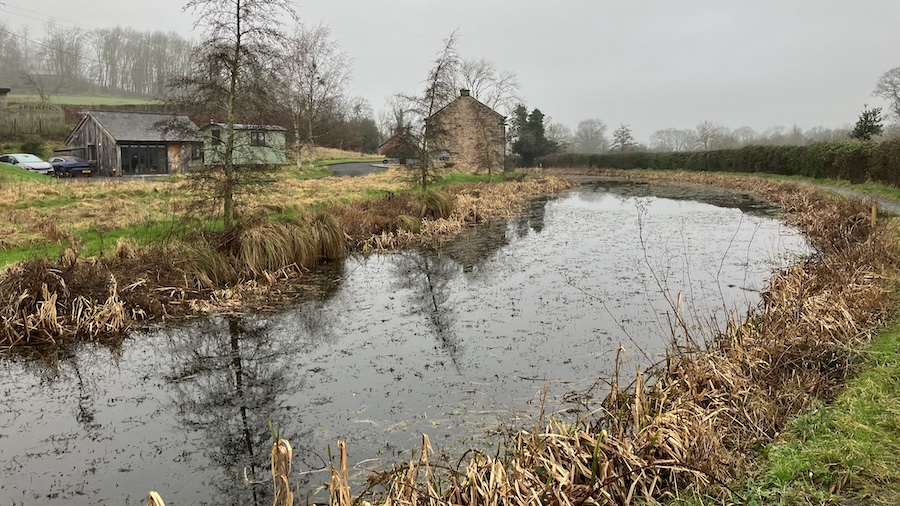 Canal charity starts work on new wetland habitat