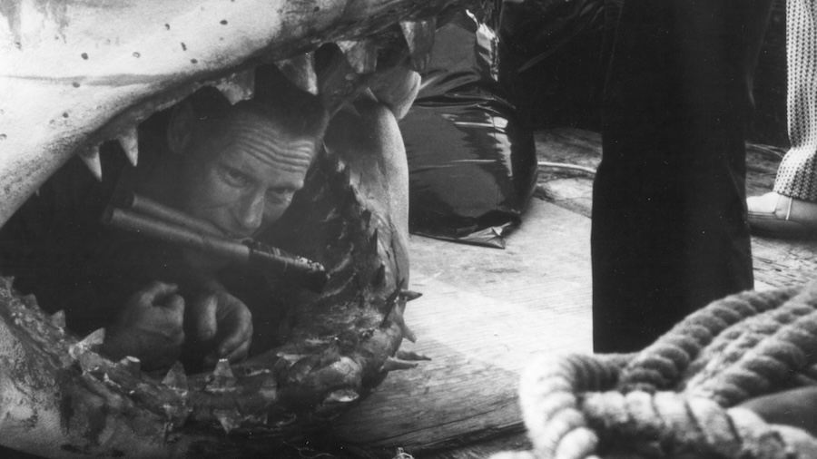 Jaws at 50 – how a Woods Hole Oceanographic Institution marine specialist made a pivotal scene come to life