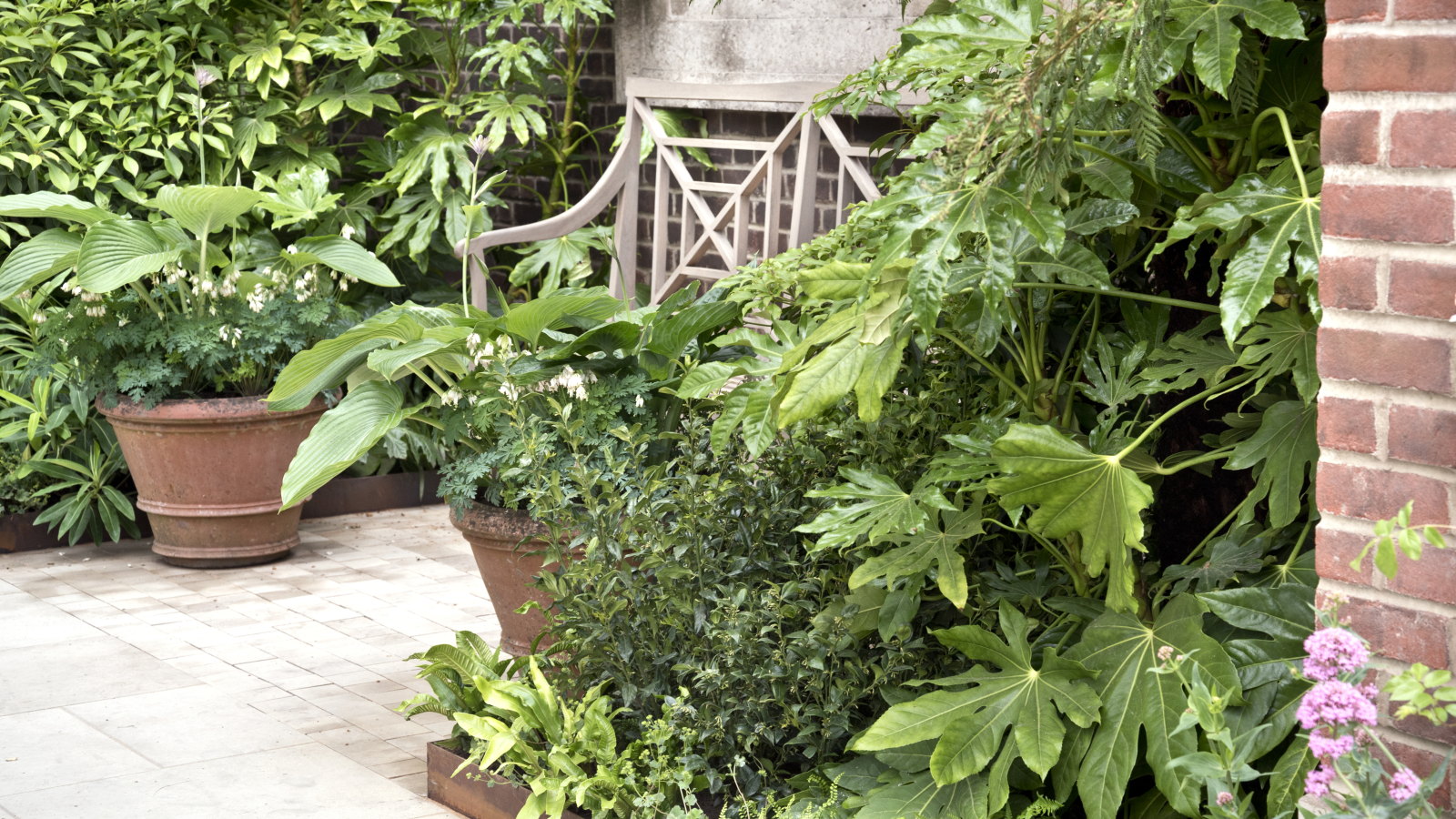 A wooden bench surrounded by green foliage of fatsia, hostas, and more