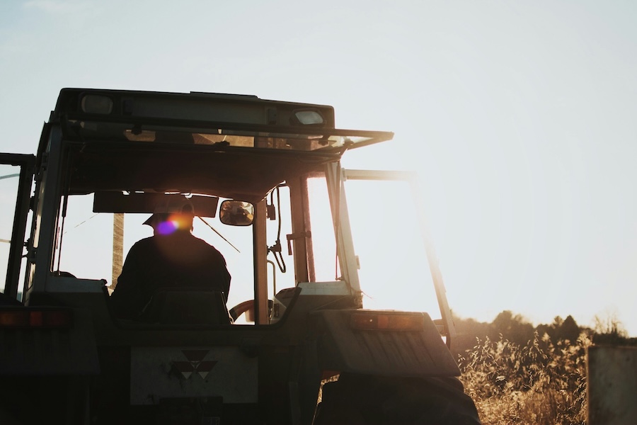 Positive news for wildlife-friendly farming, but Defra spending settlement still leaves challenges for nature recovery