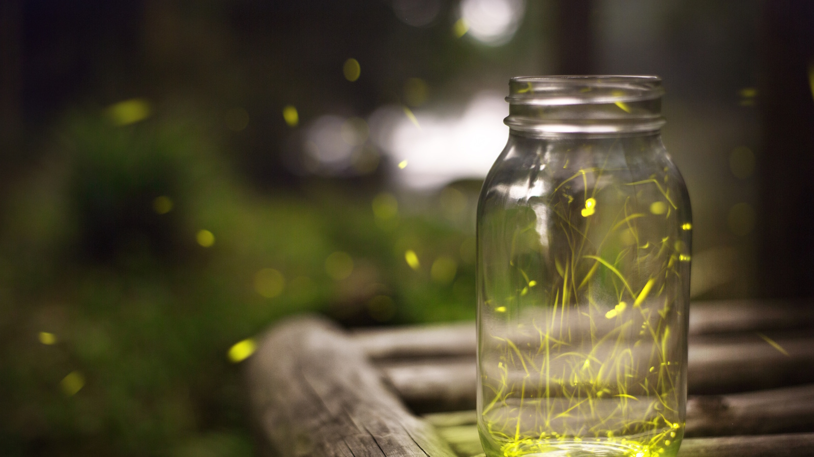Light trails of Japanese fireflies flying around in a jar