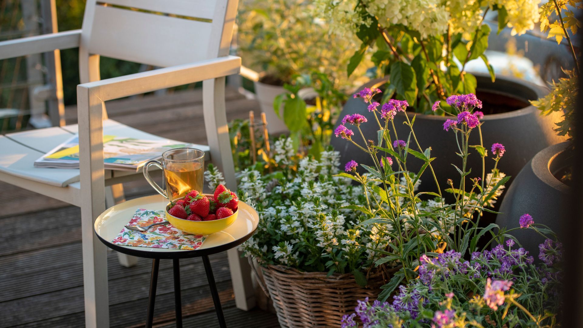 A seat in a back yard with pots filled with verbena