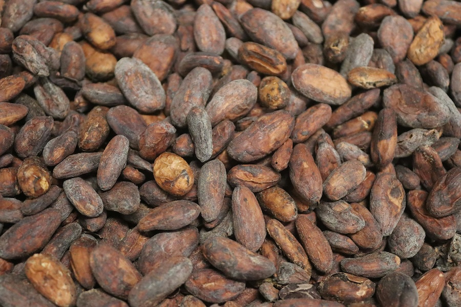 World Cocoa Foundation Announces New Board Leadership