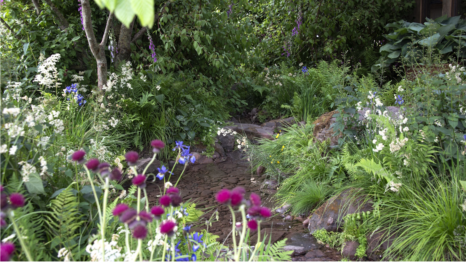 What having bats in the yard means